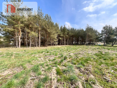 Działki Zabagno blisko autostradyA1 do negocjacji - Zabagno  -
Pomorskie Zdjęcie nr 9