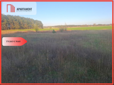 TYLKO U NAS  ATRAKCYJNA DZIALKA WSRÓD LASU - Borówno  - Kujawsko-Pomorskie