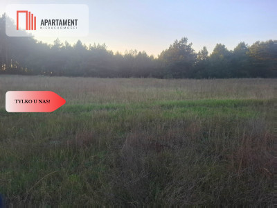 TYLKO U NAS  ATRAKCYJNA DZIALKA WSRÓD LASU - Borówno  -
Kujawsko-Pomorskie Zdjęcie nr 3