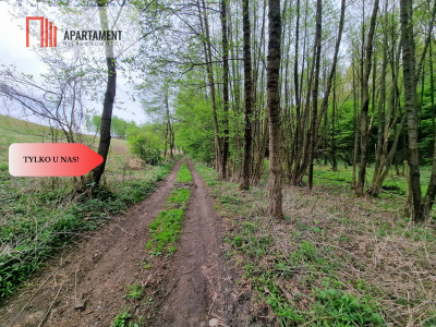 Gospodarstwo w głuszy Las Rzeka - Tomkowo  - Kujawsko-Pomorskie