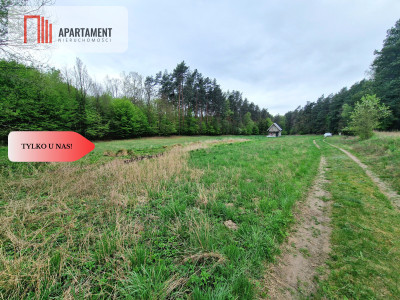 Gospodarstwo w głuszy Las Rzeka - Tomkowo  -
Kujawsko-Pomorskie Zdjęcie nr 3