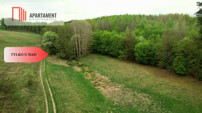 Gospodarstwo w głuszy Las Rzeka - Tomkowo  -
Kujawsko-Pomorskie Zdjęcie nr 5