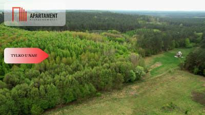 Gospodarstwo w głuszy Las Rzeka - Tomkowo  -
Kujawsko-Pomorskie Zdjęcie nr 7