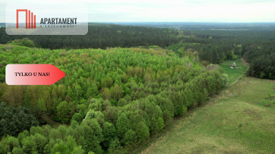 Gospodarstwo w głuszy Las Rzeka - Tomkowo  -
Kujawsko-Pomorskie Zdjęcie nr 9