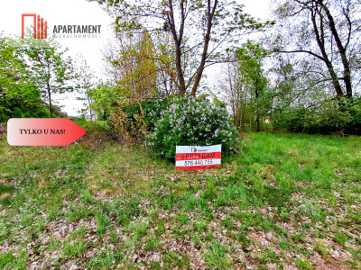 Tylko u nas Działka w Mamliczu - Mamlicz  -
Kujawsko-Pomorskie Zdjęcie nr 2