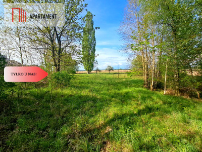 Tylko u nas Działka w Mamliczu - Mamlicz  -
Kujawsko-Pomorskie Zdjęcie nr 3