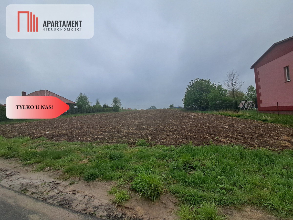 Duża działka w cichej okolicy - powiat wołowski  -
Dolnośląskie Zdjęcie nr 1