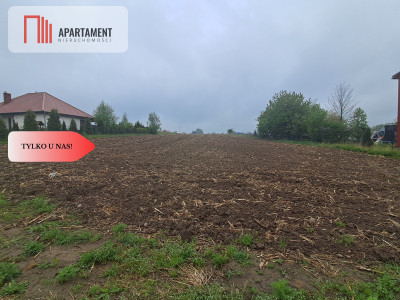 Duża działka w cichej okolicy - powiat wołowski  -
Dolnośląskie Zdjęcie nr 2