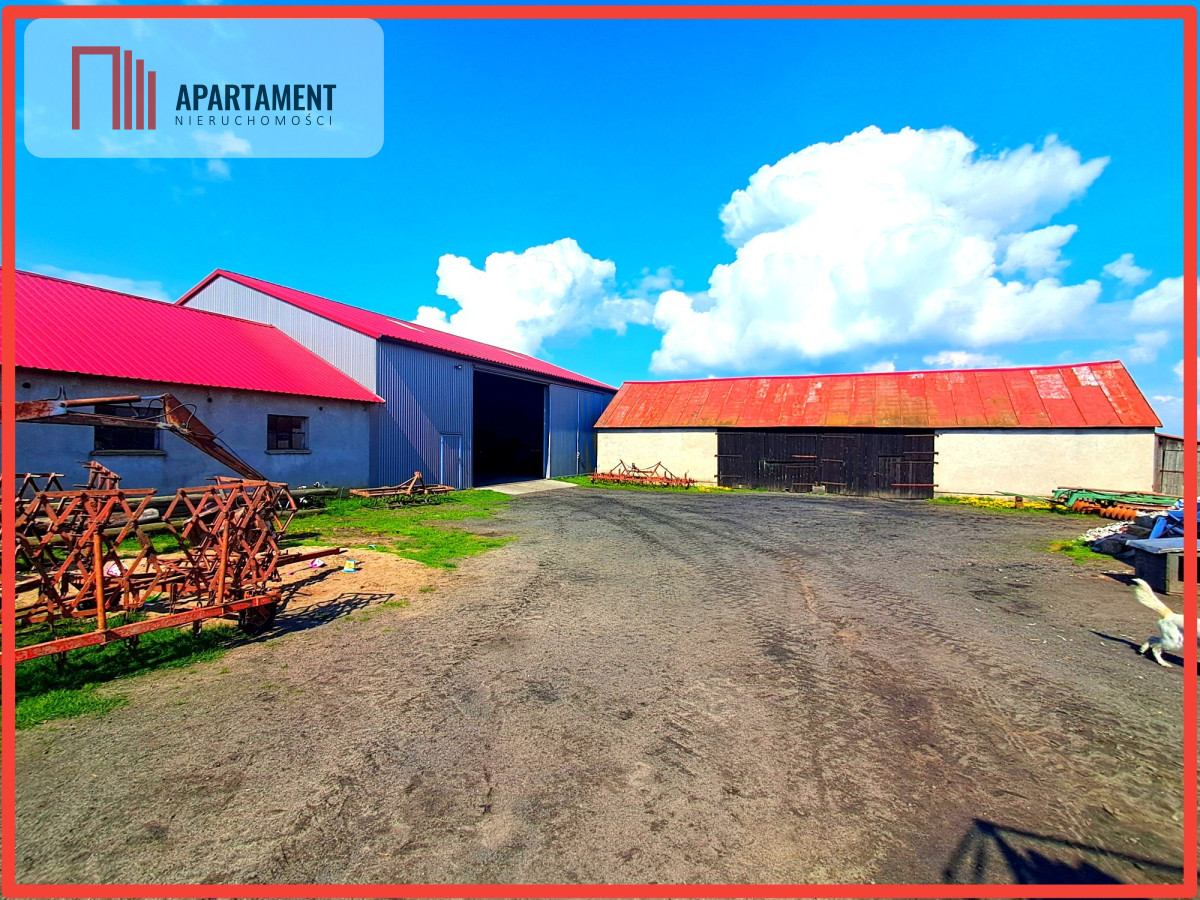 Gospodarstwo rolne Gmina Sośno - Rogalin  -
Kujawsko-Pomorskie Zdjęcie nr 1