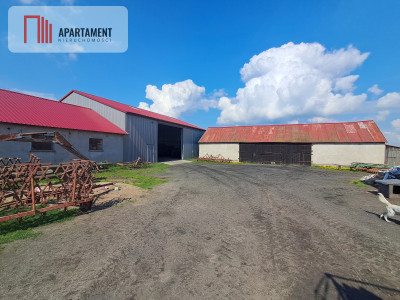 Gospodarstwo rolne Gmina Sośno - Rogalin  -
Kujawsko-Pomorskie Zdjęcie nr 3