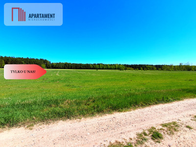  Działka w gminie Łabiszyn - Klotyldowo  -
Kujawsko-Pomorskie Zdjęcie nr 3