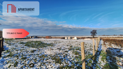 Kompleks 8 działek budowlanych   110a ziemi - Boruchowo  -
Wielkopolskie Zdjęcie nr 2