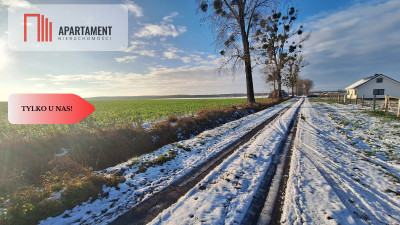 Kompleks 8 działek budowlanych   110a ziemi - Boruchowo  -
Wielkopolskie Zdjęcie nr 4