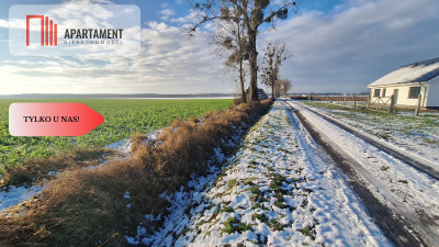 Kompleks 8 działek budowlanych   110a ziemi - Boruchowo  -
Wielkopolskie Zdjęcie nr 6