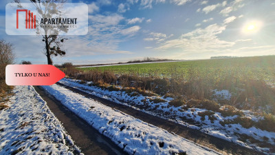 Kompleks 8 działek budowlanych   110a ziemi - Boruchowo  -
Wielkopolskie Zdjęcie nr 7