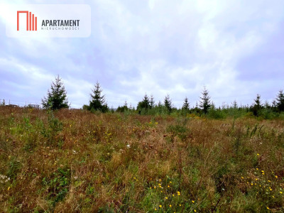 Działki w Kolinczu z dala od ulicy - Kolincz  - Pomorskie