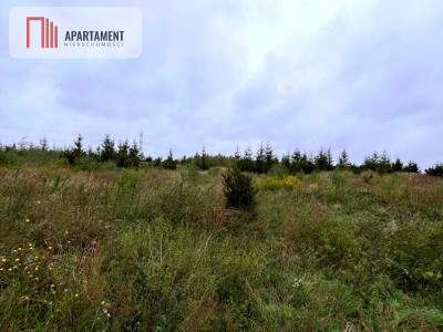 Działki w Kolinczu z dala od ulicy - Kolincz  -
Pomorskie Zdjęcie nr 7