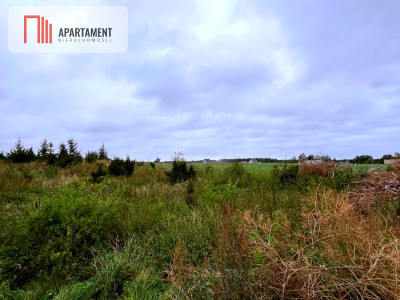 Działki w Kolinczu z dala od ulicy - Kolincz  -
Pomorskie Zdjęcie nr 8