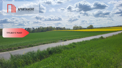 Działki Rolne Śmielin - Śmielin  -
Kujawsko-Pomorskie Zdjęcie nr 2
