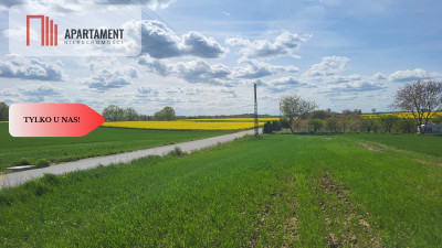 Działki Rolne Śmielin - Śmielin  -
Kujawsko-Pomorskie Zdjęcie nr 3