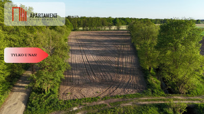 Duża Eko działka przy rzece i lesie - Brzezia Łąka  -
Dolnośląskie Zdjęcie nr 4