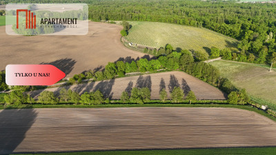 Duża Eko działka przy rzece i lesie - Brzezia Łąka  -
Dolnośląskie Zdjęcie nr 6