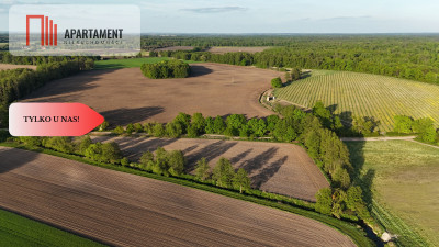 Duża Eko działka przy rzece i lesie - Brzezia Łąka  -
Dolnośląskie Zdjęcie nr 7