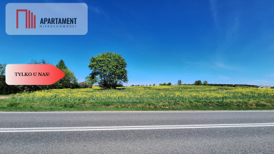 Tylko u Nas Działka budowlana pod Koronowem - Stronno  -
Kujawsko-Pomorskie Zdjęcie nr 5