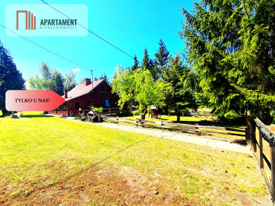 Tylko u nas Poniatówka w Śmielinie - Śmielin  -
Kujawsko-Pomorskie Zdjęcie nr 5