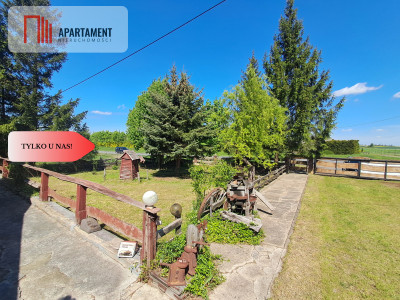 Tylko u nas Poniatówka w Śmielinie - Śmielin  -
Kujawsko-Pomorskie Zdjęcie nr 7