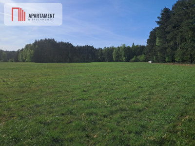 Działki rolne 206 ha  Górzna k Złotowa - Górzna  -
Wielkopolskie Zdjęcie nr 8