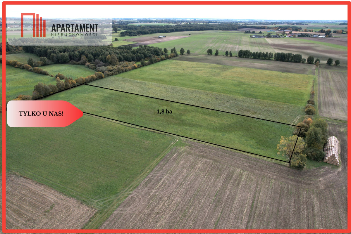 Łąki w cichej okolicy Okazyjna cena - Dąbrówka  -
Kujawsko-Pomorskie Zdjęcie nr 1