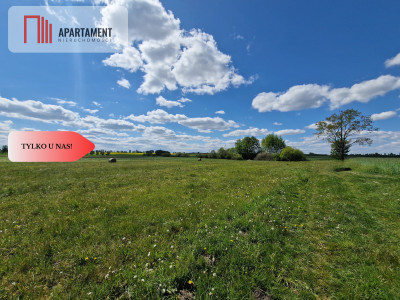 Łąki w cichej okolicy Okazyjna cena - Dąbrówka  -
Kujawsko-Pomorskie Zdjęcie nr 10