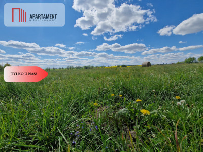 Łąki w cichej okolicy Okazyjna cena - Dąbrówka  -
Kujawsko-Pomorskie Zdjęcie nr 13