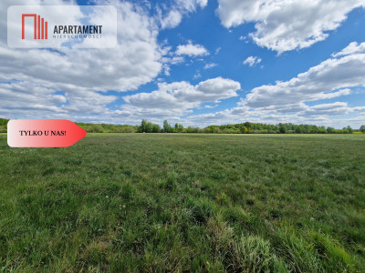 Łąki w cichej okolicy Okazyjna cena - Dąbrówka  -
Kujawsko-Pomorskie Zdjęcie nr 5