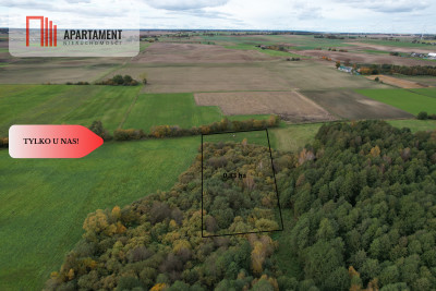 Duża działka w niskiej cenie Do negocjacji - Dąbrówka  -
Kujawsko-Pomorskie Zdjęcie nr 12