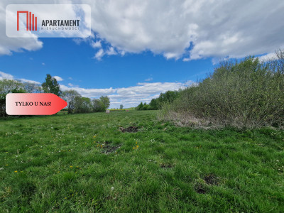 Duża działka w niskiej cenie Do negocjacji - Dąbrówka  -
Kujawsko-Pomorskie Zdjęcie nr 3