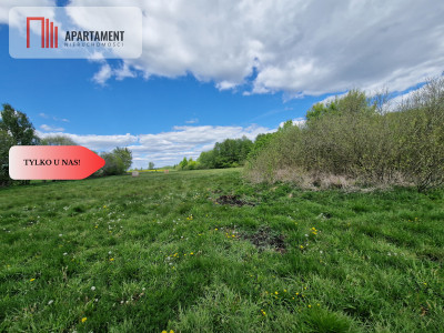 Duża działka w niskiej cenie Do negocjacji - Dąbrówka  -
Kujawsko-Pomorskie Zdjęcie nr 4