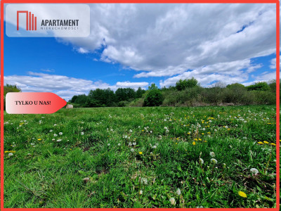 Duża działka w niskiej cenie Do negocjacji - Dąbrówka  -
Kujawsko-Pomorskie Zdjęcie nr 5