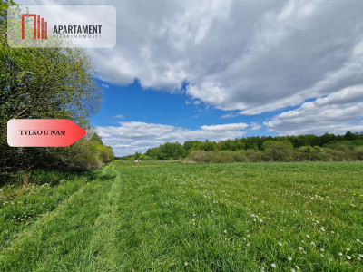 Duża działka w niskiej cenie Do negocjacji - Dąbrówka  -
Kujawsko-Pomorskie Zdjęcie nr 6