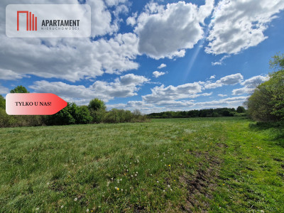 Duża działka w niskiej cenie Do negocjacji - Dąbrówka  -
Kujawsko-Pomorskie Zdjęcie nr 9