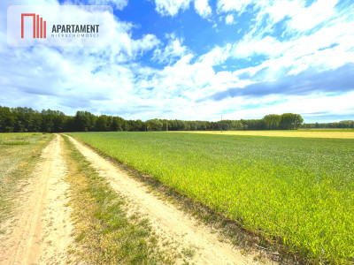 Nekla pod usługi przemysł magazyn - Nekla  -
Kujawsko-Pomorskie Zdjęcie nr 3