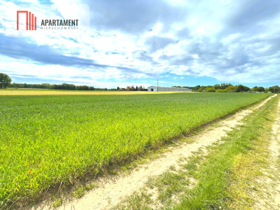 Nekla pod usługi przemysł magazyn - Nekla  -
Kujawsko-Pomorskie Zdjęcie nr 4