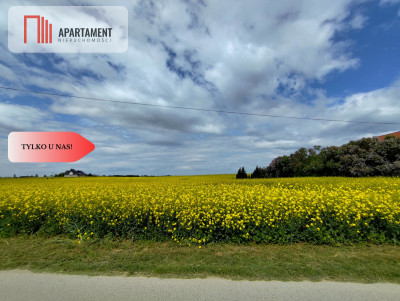 Tylko u Nas Działka budowlana w super cenie - Buszkowo  -
Kujawsko-Pomorskie Zdjęcie nr 3