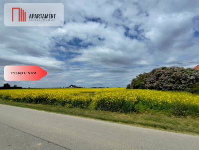 Tylko u Nas Działka budowlana w super cenie - Buszkowo  -
Kujawsko-Pomorskie Zdjęcie nr 4