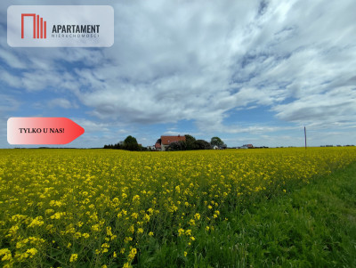 Tylko u Nas Działka budowlana w super cenie - Buszkowo  -
Kujawsko-Pomorskie Zdjęcie nr 7