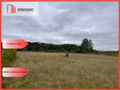 Działka 1000m2 z WZ - Nowe Dąbie  - Kujawsko-Pomorskie