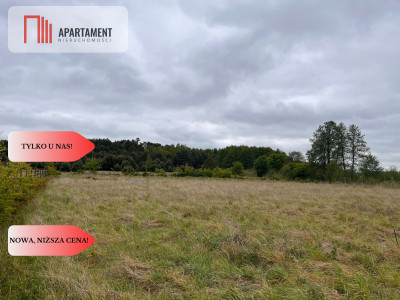 Działka 1000m2 z WZ - Nowe Dąbie  -
Kujawsko-Pomorskie Zdjęcie nr 2