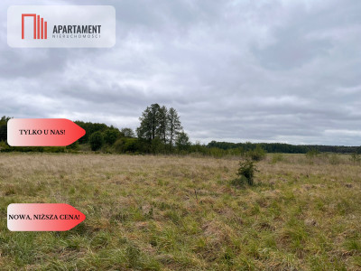 Działka 1000m2 z WZ - Nowe Dąbie  -
Kujawsko-Pomorskie Zdjęcie nr 3