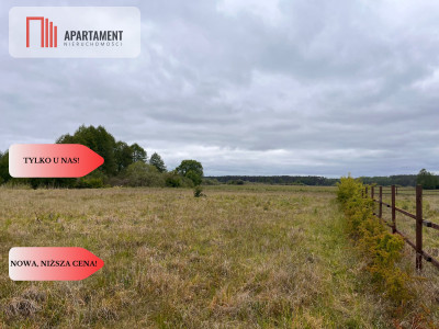 Działka 1000m2 z WZ - Nowe Dąbie  -
Kujawsko-Pomorskie Zdjęcie nr 4